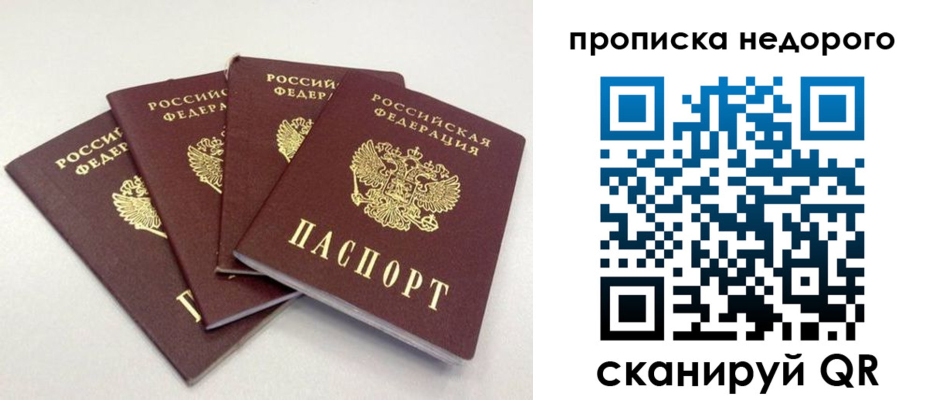 прописка законно в Пересвете